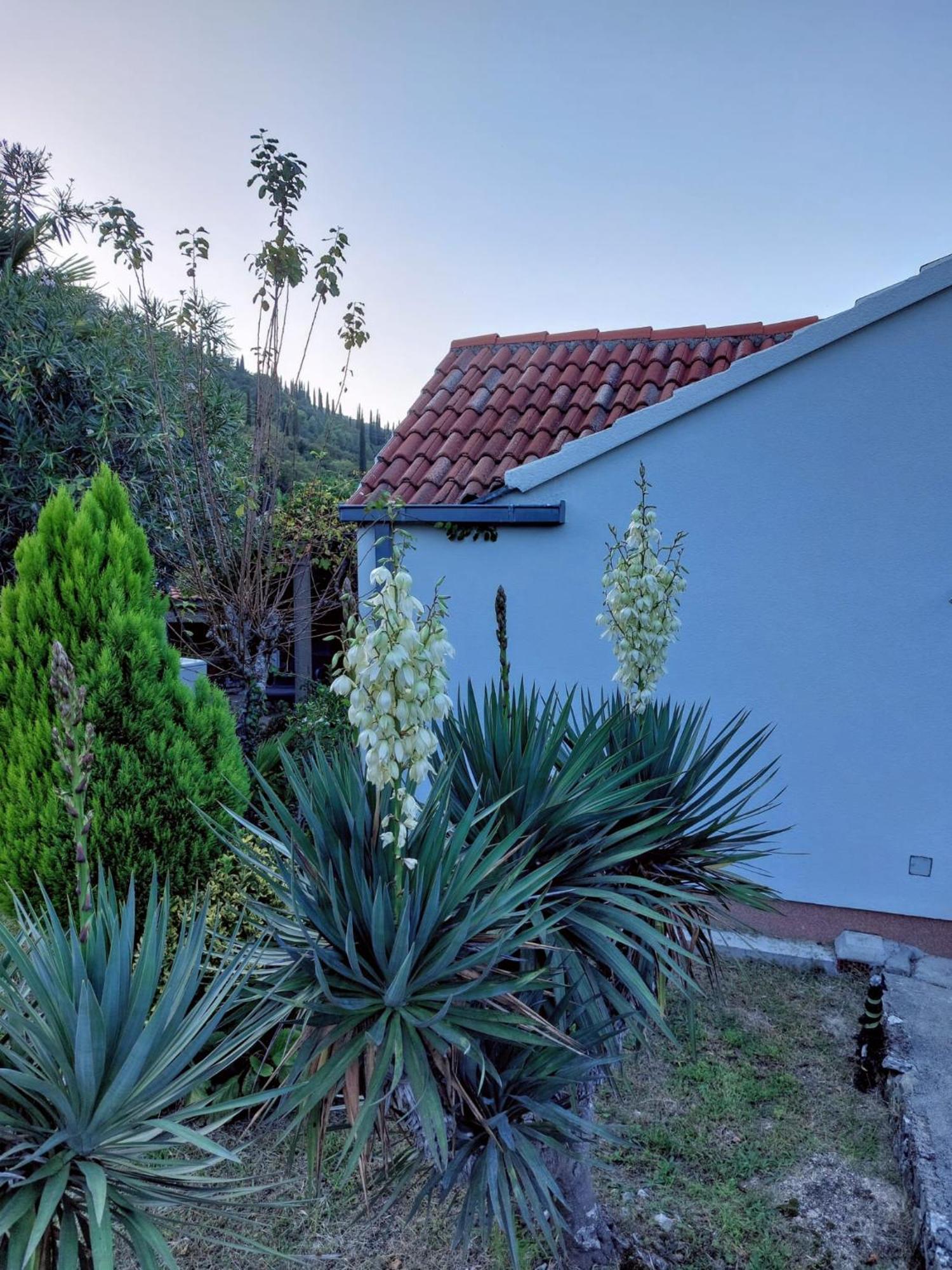 Holiday Home Sunrise Gruda Esterno foto